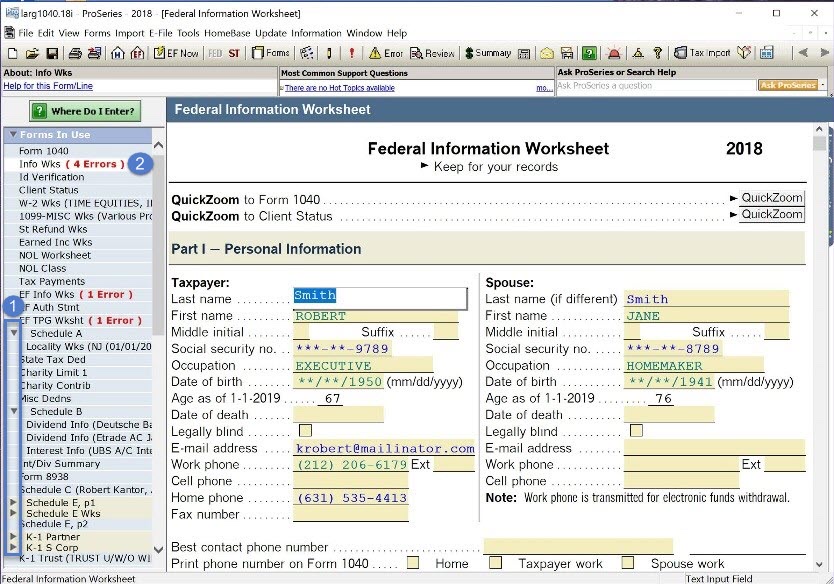 ProSeries interface